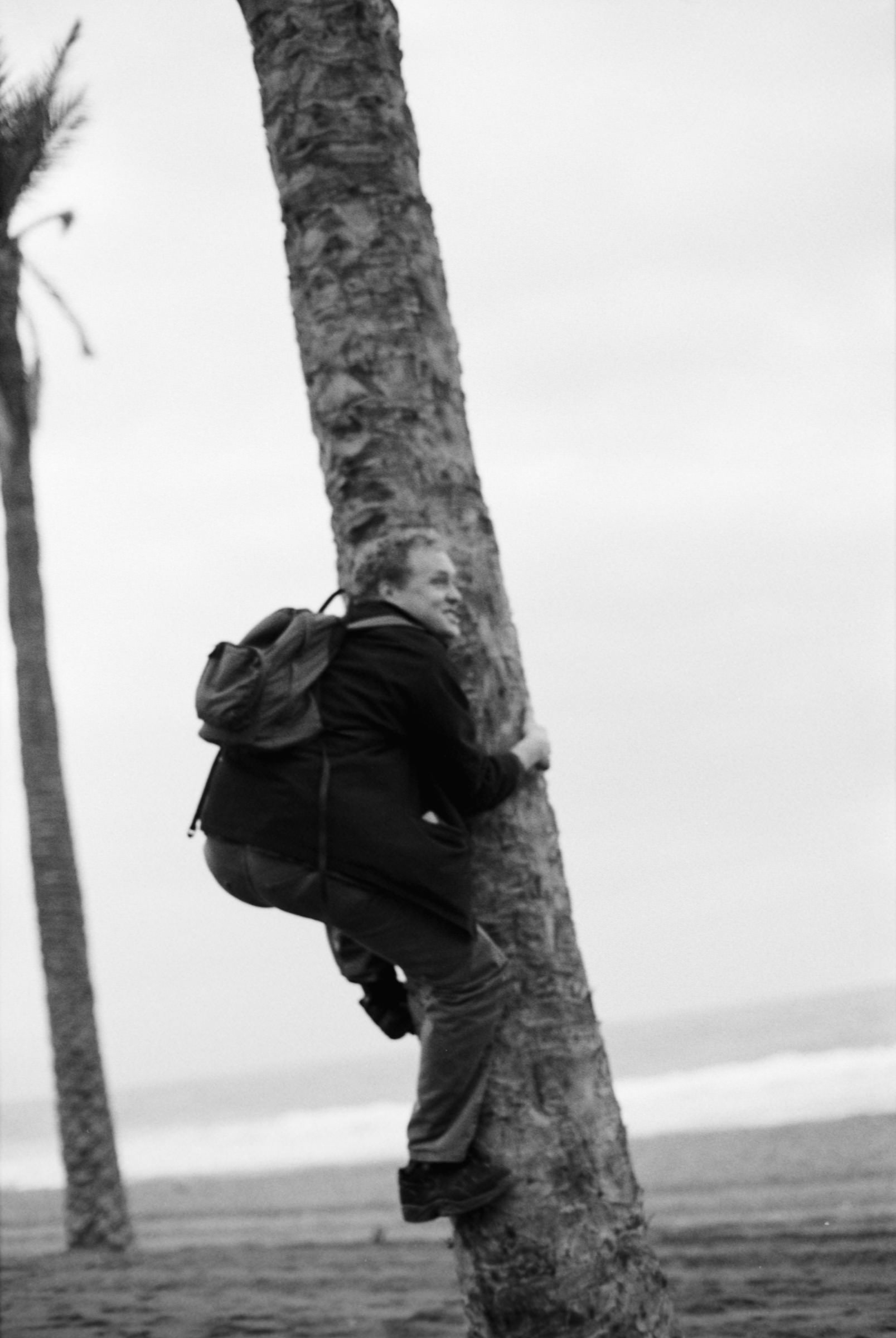 AHP F1995 10 002 sc240815 img09 NLP